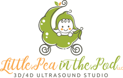 Little Pea Kauai Online Shop!